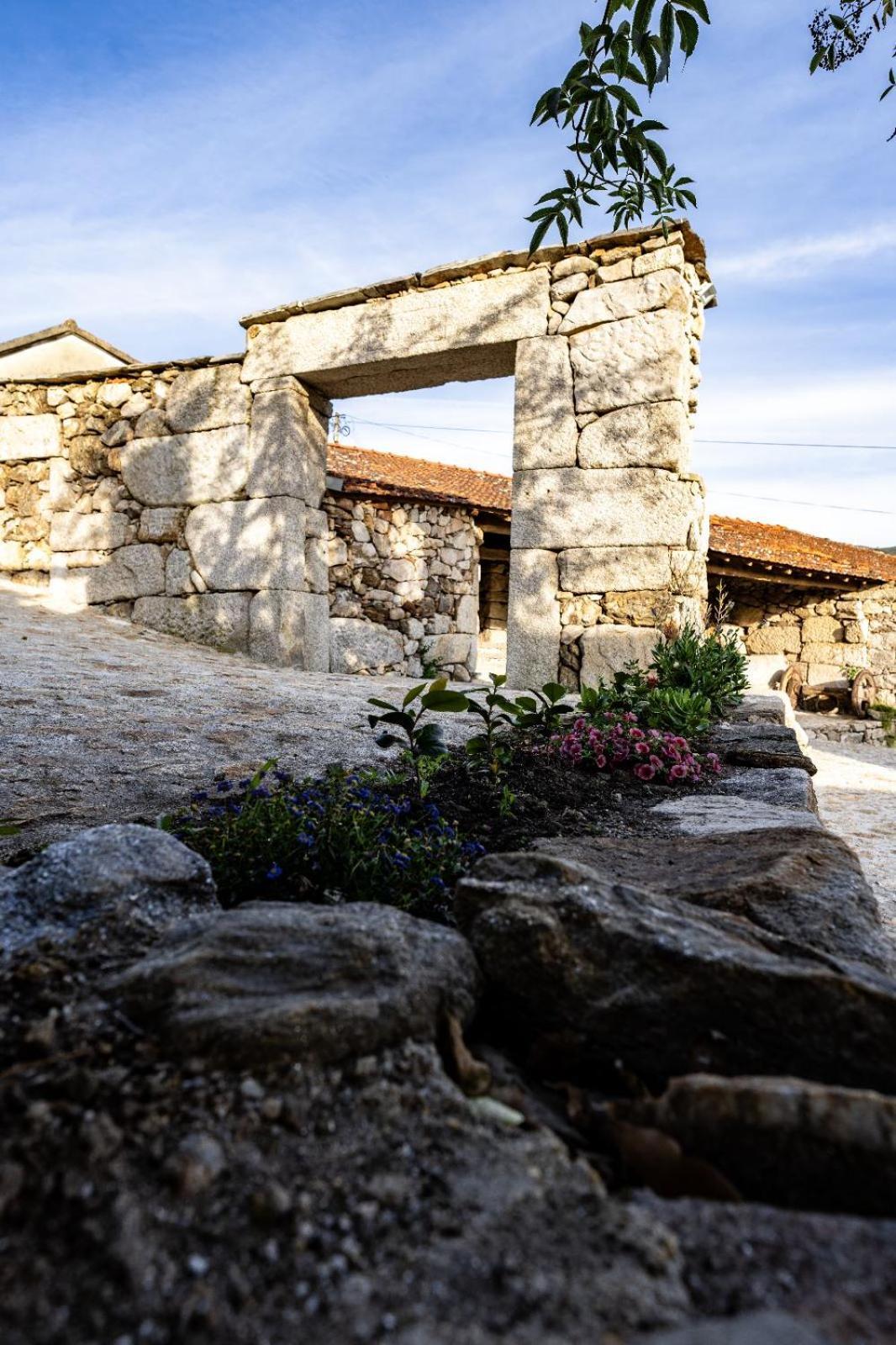 Vila Campo Villa Alcofra Exterior photo